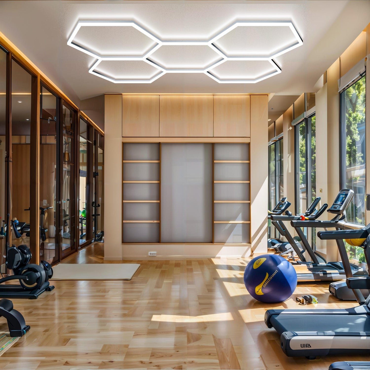 Ceiling Hex Lights in Gym