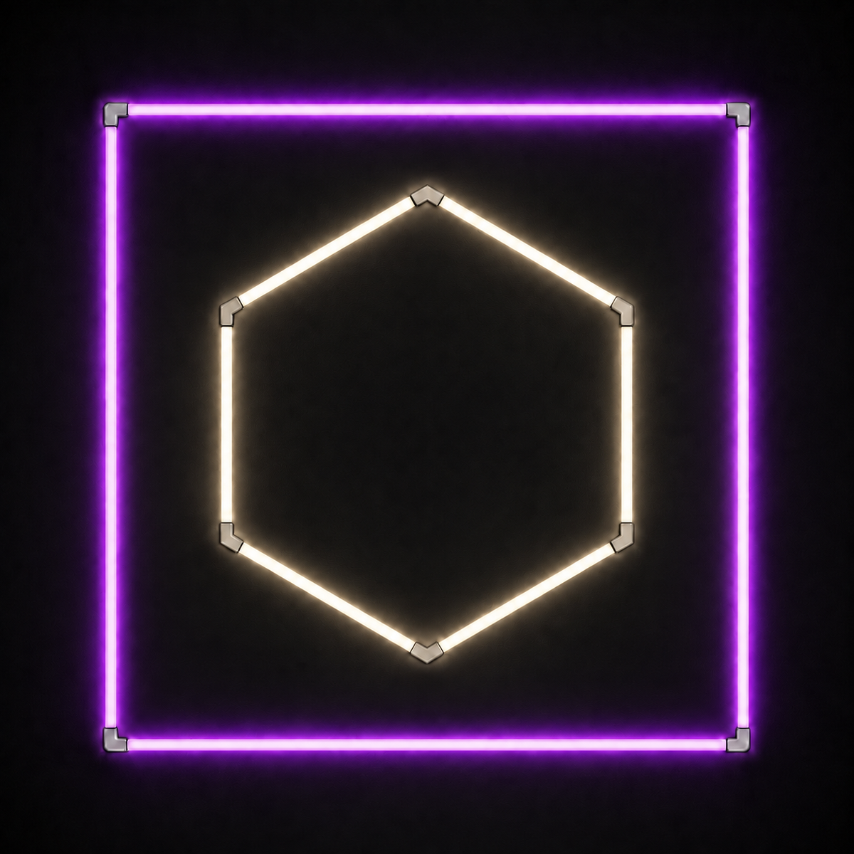 1-Hex LED light grid with Soft White 4000K main light and Purple border