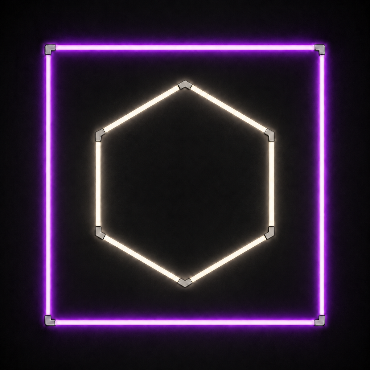 1-Hex LED light grid with Natural White 5000K main light and Purple border