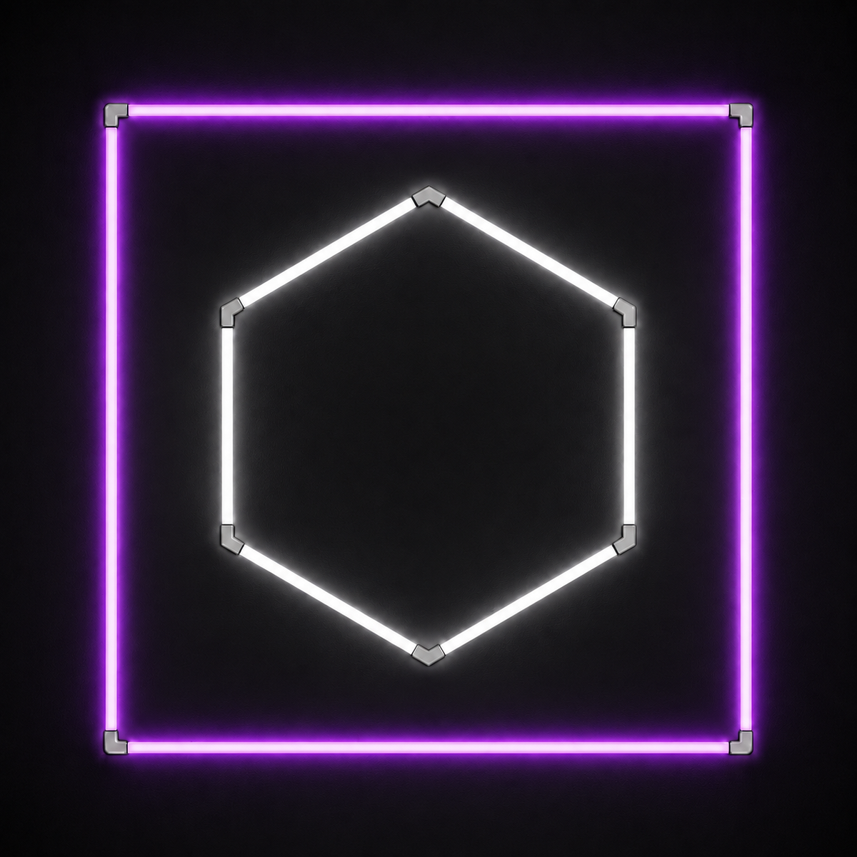 1-Hex LED light grid with Cool White 6500K main light and Purple border